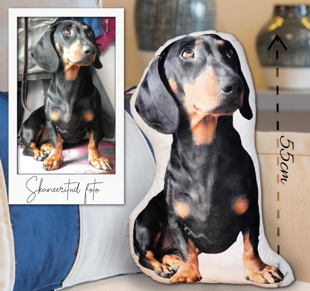 skaneeritud foto postitus