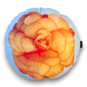 Pehme Begoonia